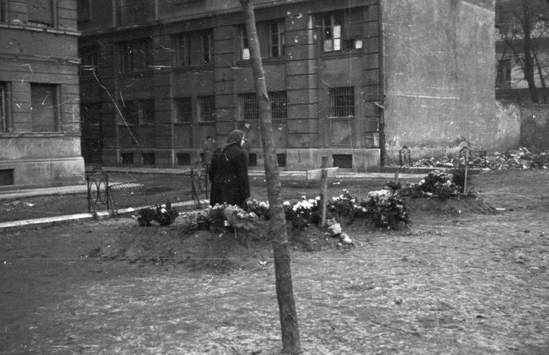 '56-os szabadságharcosok sírjai a Markusovszky téren
