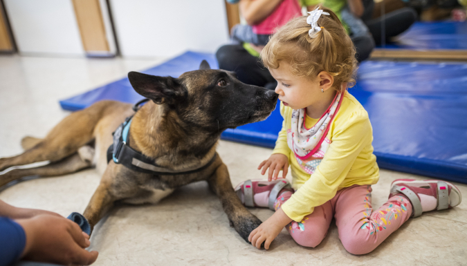 mentőkutya sajátos nevelési igényű gyerekek kutyaterápia, sni, gyermek