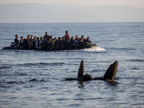 migráns, menekült, hajó