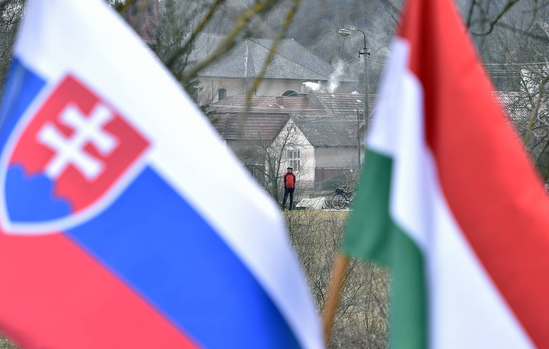 szlovák, zászló, felvidék