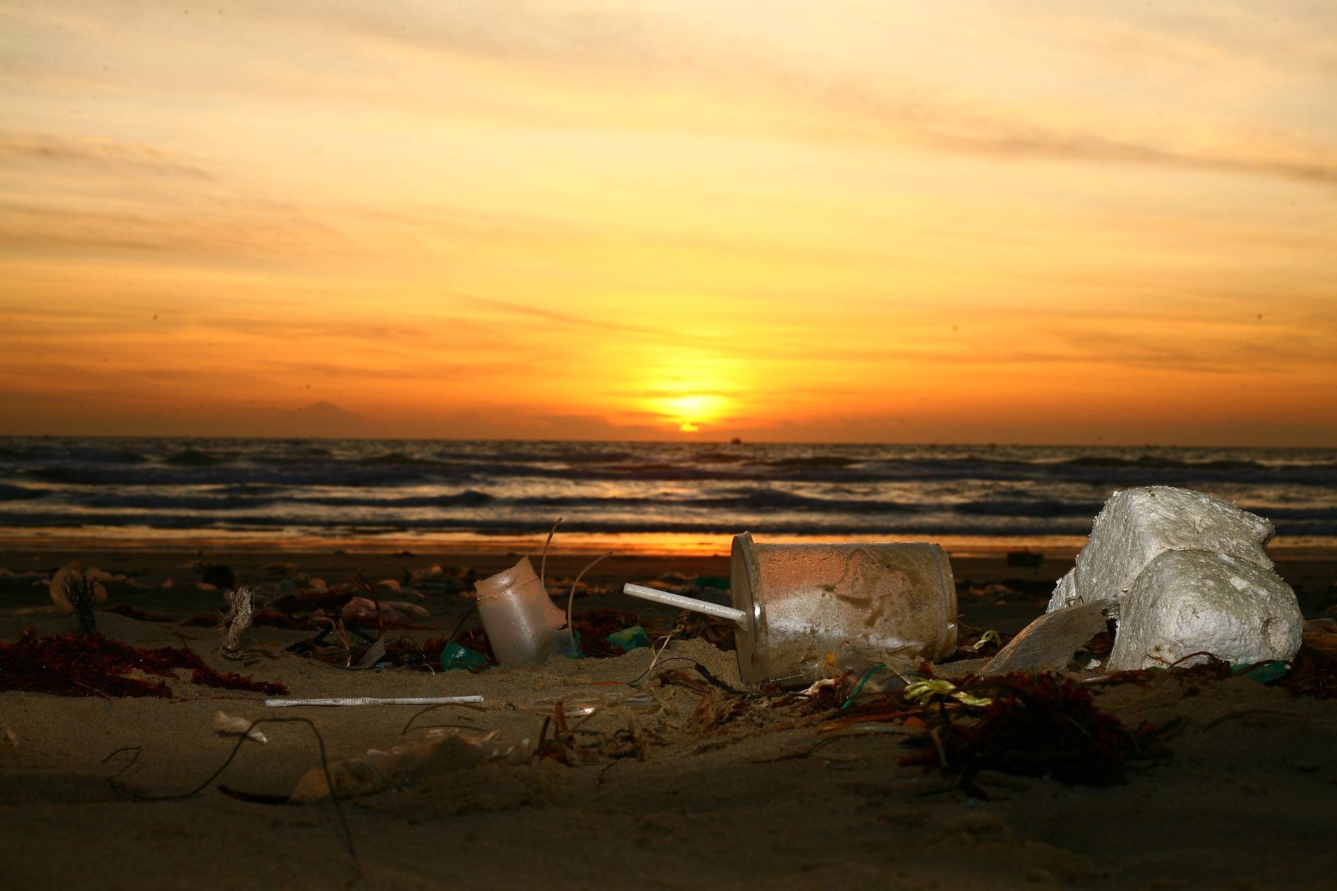 tenger, óceán, műanyag, környezetszennyezés