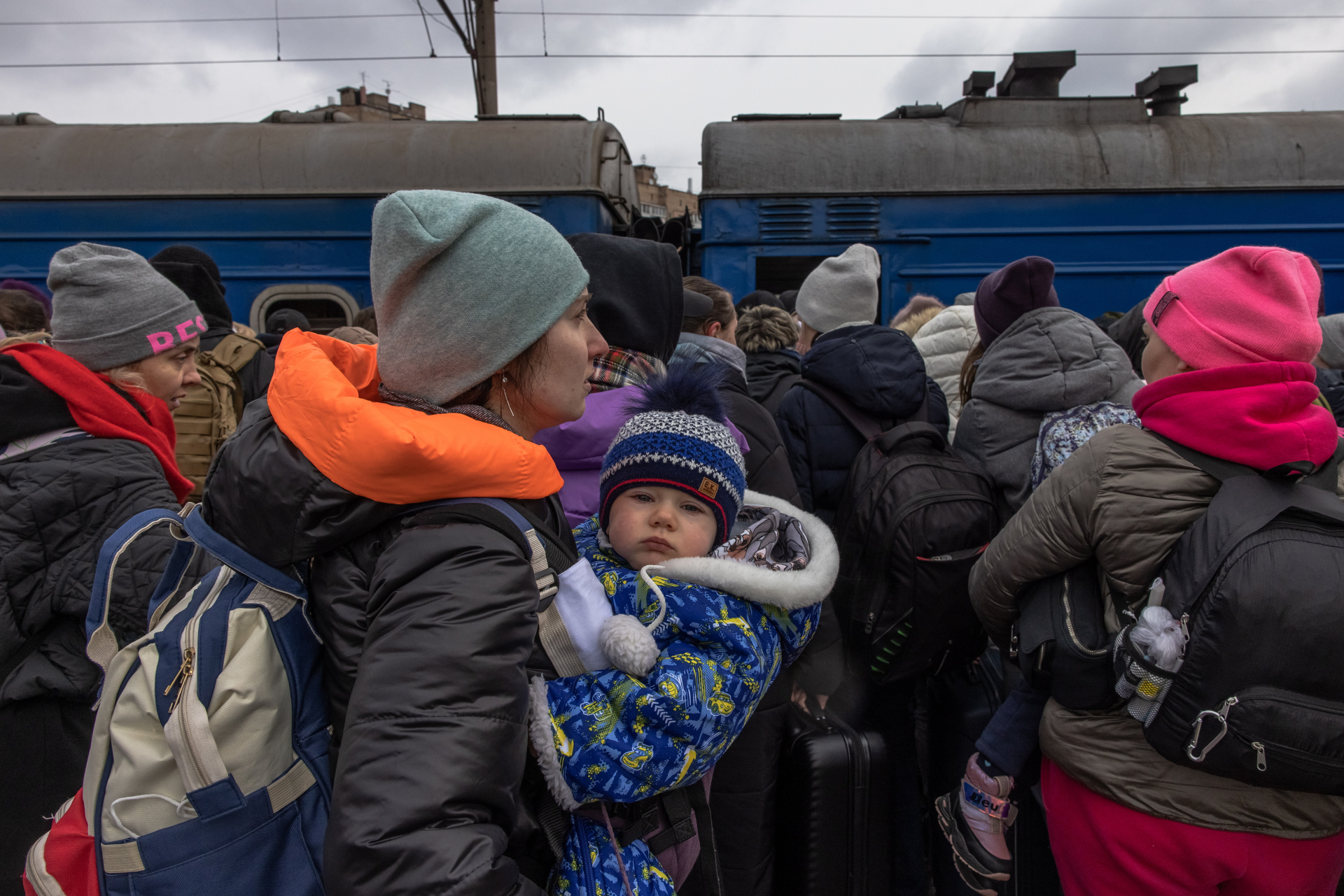 ukrán menekült, 