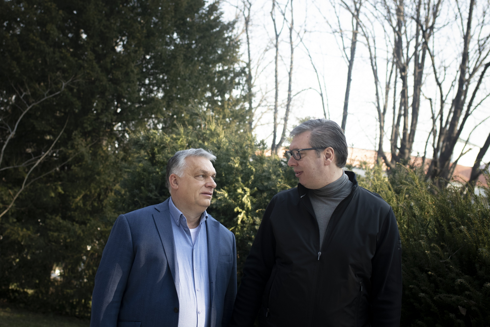 Orbán Viktor, Alekszandar Vucic