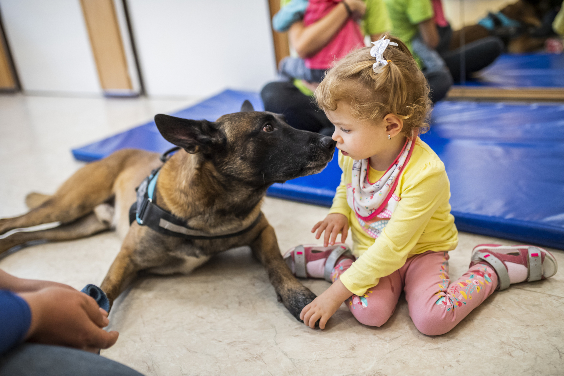 mentőkutya sajátos nevelési igényű gyerekek kutyaterápia, sni, gyermek